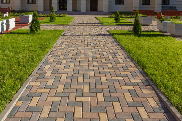 Best Driveway Paving Contractor  in Seyur, MO
